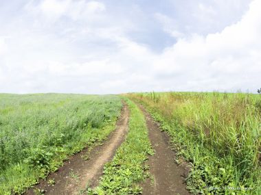green-grassland-under-sky-photo-063