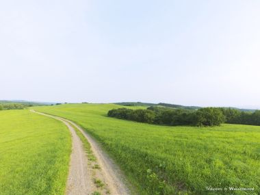 green-grassland-under-sky-photo-066