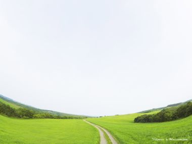 green-grassland-under-sky-photo-068