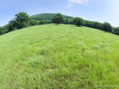 green-grassland-under-sky-photo-072