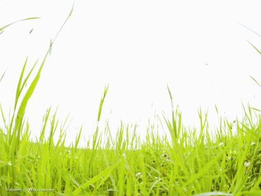 green-grassland-under-sky-photo-160