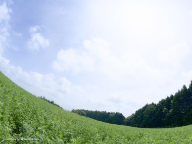 green-grassland-under-sky-photo-195