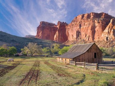 Historic_Fruita_Capitol_Reef_National_Park_Utah
