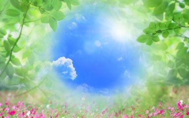 清新夏日: 水、空、绿叶壁纸