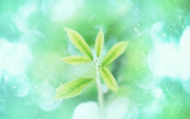 HJ022_350A