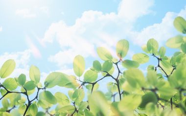 HJ034_350A