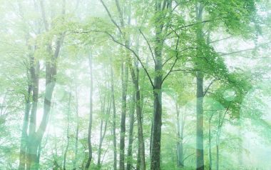HJ047_350A