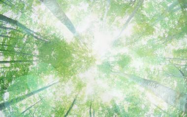 HJ049_350A