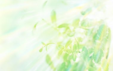 HJ077_350A