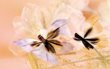 holiday_celebration_gifts_2003