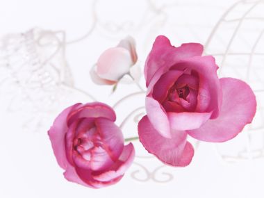 HR122_350A_Wedding_Fowers