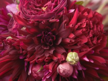 HR196_350A_Wedding_Fowers