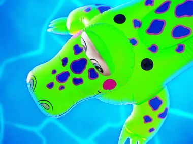 Inflatable Crocodile On Pool
