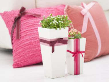 interior_decoration_16019