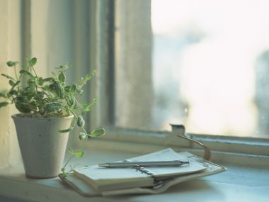 Interior_herb_GN135