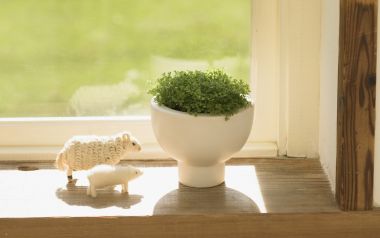 Interior Herb Hq010