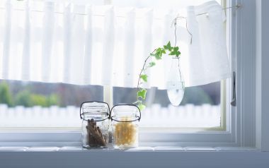 Interior Herb Hq036