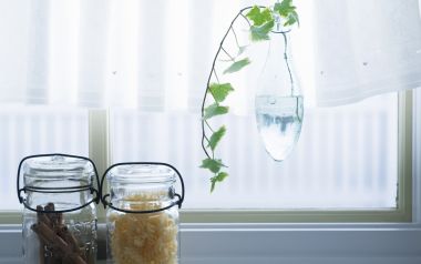 Interior Herb Hq037