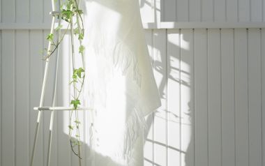 Interior Herb Hq044