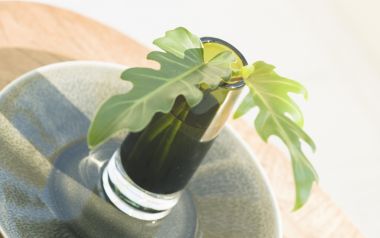 Interior Herb Hq054