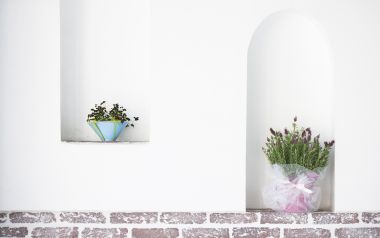 Interior Herb Hq077