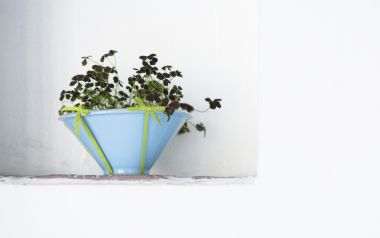 Interior Herb Hq078