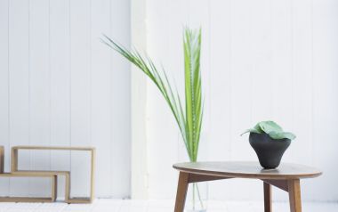 Interior Herb Hq094
