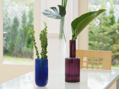 Interior_herb_HQ118