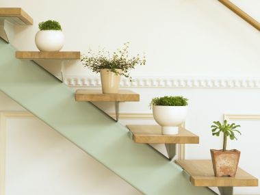 Interior_herb_HQ124