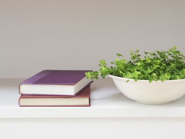 Interior_herb_HQ128