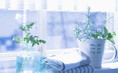 Interior Herb Hq146