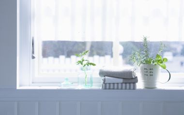 Interior Herb Hq147