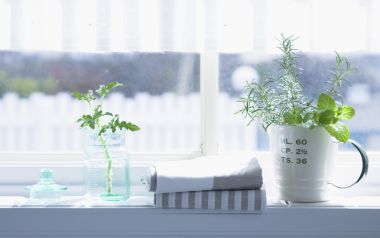 Interior Herb Hq148