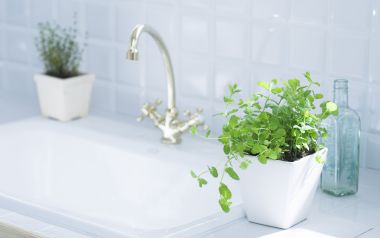 Interior Herb Hq153