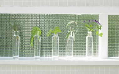 Interior Herb Hq161