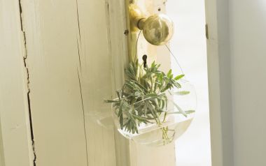 Interior Herb Hq186