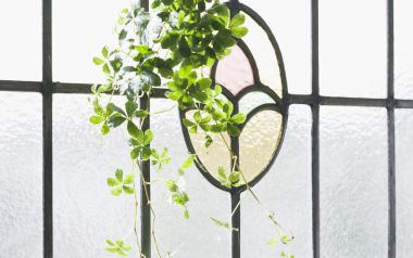 Interior Herb Hq188