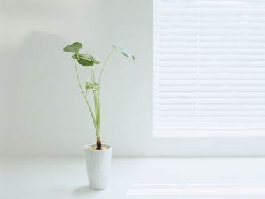Interior_Photography_GK054