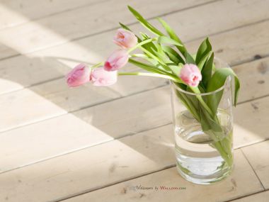 interior_sweet_flowers_art_11018