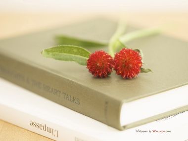 interior_sweet_flowers_art_12001