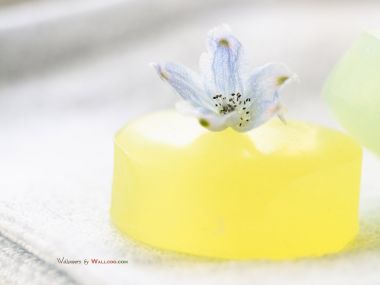 interior_sweet_flowers_art_13007