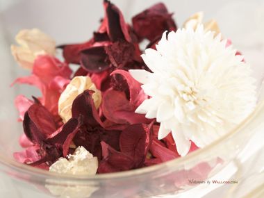 interior_sweet_flowers_art_13008