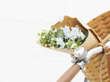 interior_sweet_flowers_art_13011