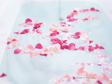 interior_sweet_flowers_art_13017