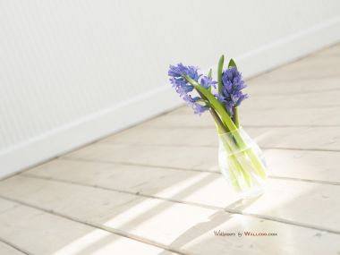 interior_sweet_flowers_art_15010