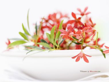 interior_sweet_flowers_art_15018