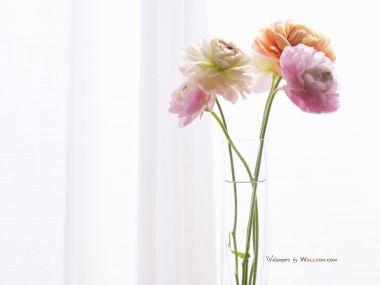 interior_sweet_flowers_art_15020