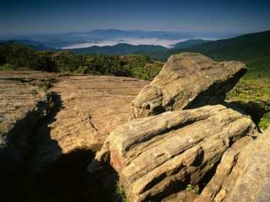 Jane_Bald_in_June_Roan_Mountain_North_Carolina