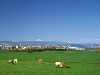 Japan-Hokkaido-Landscape-JF031_350A