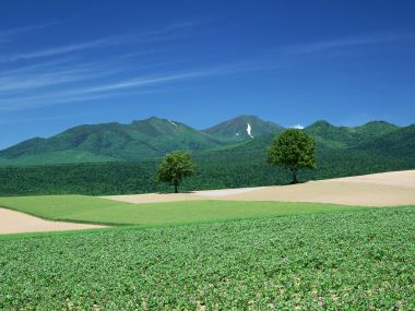Japan-Hokkaido-Landscape-JF108_350A